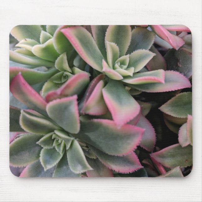 Succulent Mouse Mat (Front)