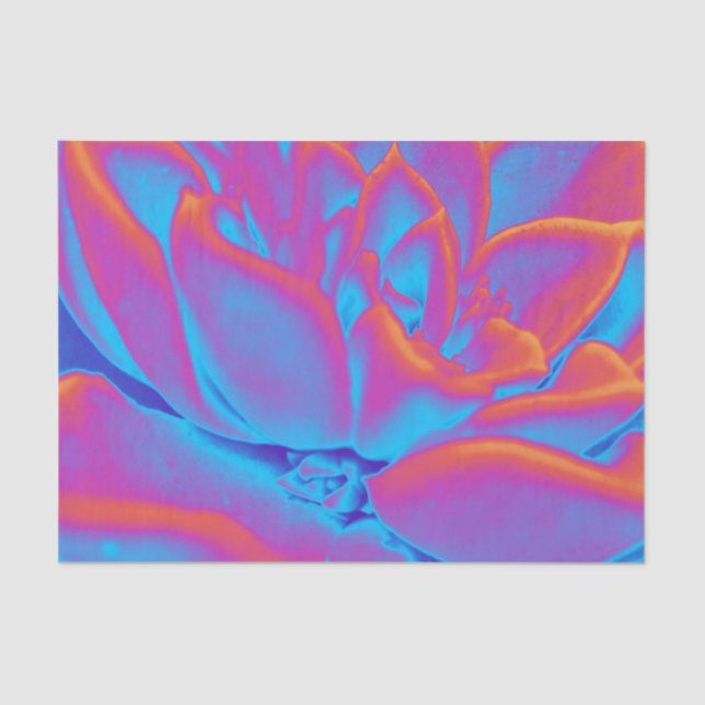 Succulent mystery tissue paper (Front)
