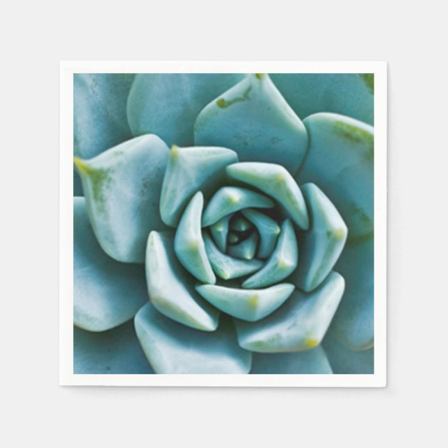 Succulent Napkin (Front)