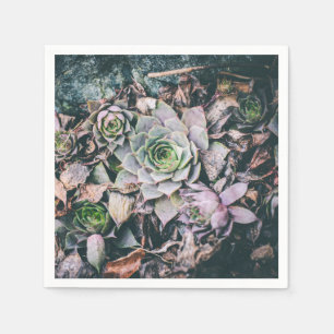 Succulent Napkins 