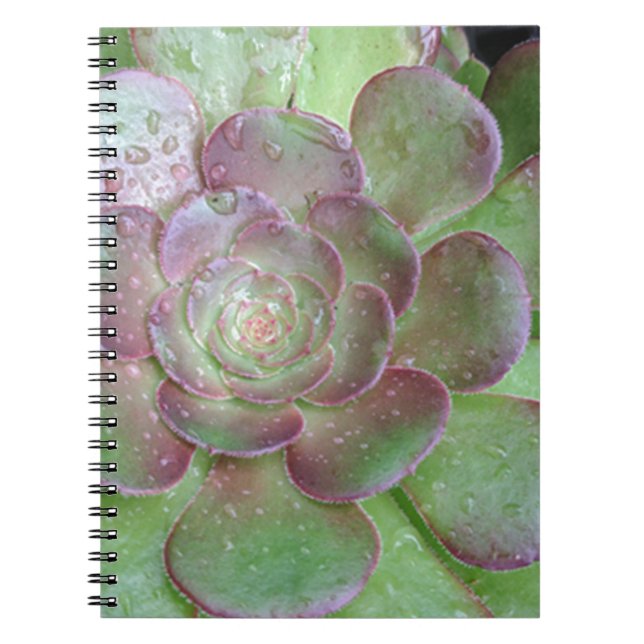 Succulent Notebook (Front)