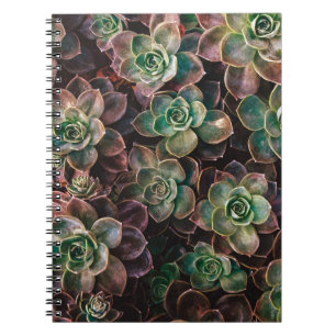 Succulent Notebook