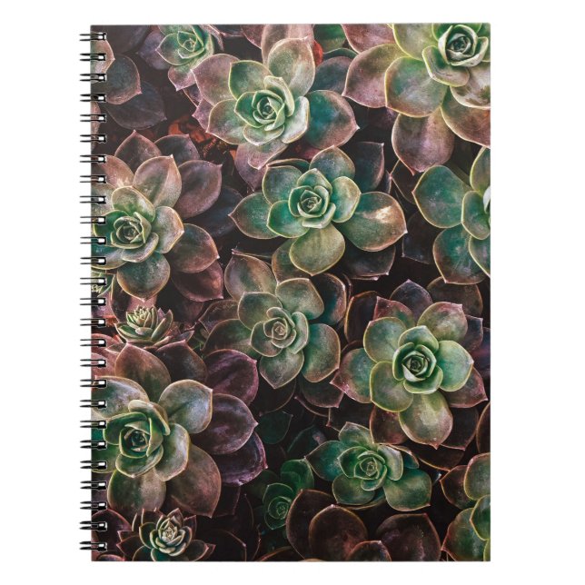 Succulent Notebook (Front)