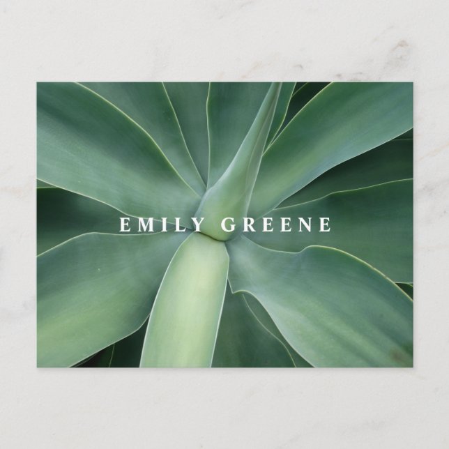 Succulent Notecards Postcard (Front)