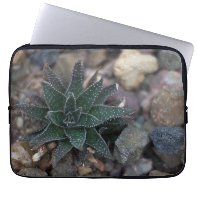 Succulent on Rocks Laptop Sleeve (Front)