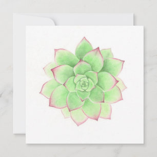 Succulent - Original Artwork by Meghann Russell Holiday Card