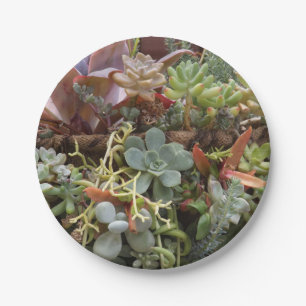 Succulent paper plates