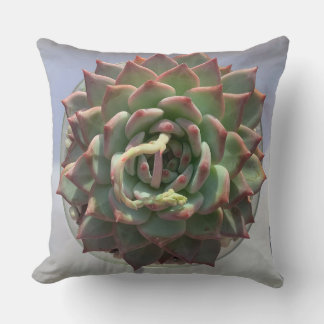 Succulent pillow