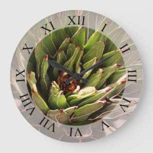 Succulent Plant Botanical Photography Large Clock