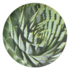Succulent plant dinner plate: Aloe polyphylla