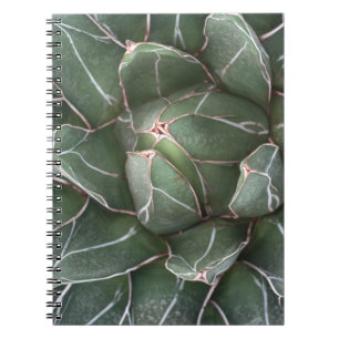 Succulent Plant Photo Notebook (80 Pages B&W)