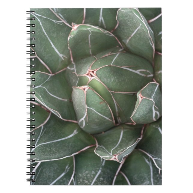 Succulent Plant Photo Notebook (80 Pages B&W) (Front)