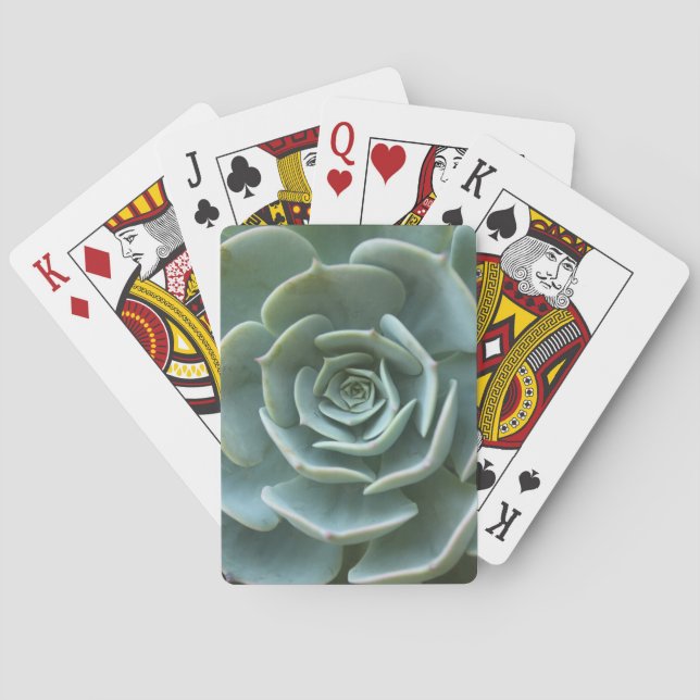 Succulent Plant Playing Cards (Back)