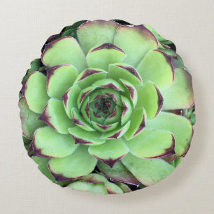 Succulent Plant Texture Photo Round Cushion