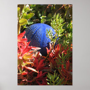 Succulent Plant Underwater Themed Garden Poster