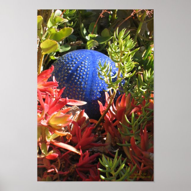 Succulent Plant Underwater Themed Garden Poster (Front)