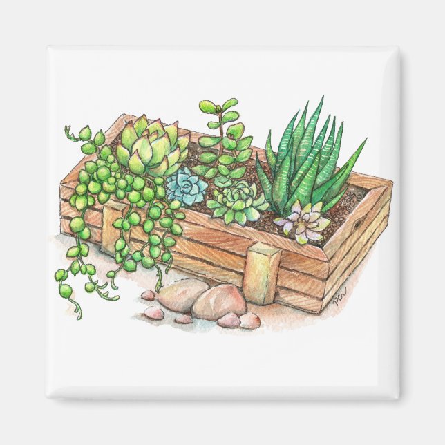 Succulent Planter Box Magnet (Front)