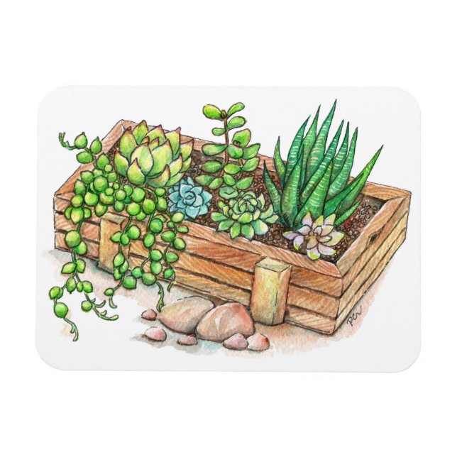 Succulent Planter Box Magnet (Horizontal)