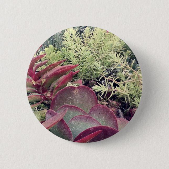 Succulent Plants 6 Cm Round Badge (Front)