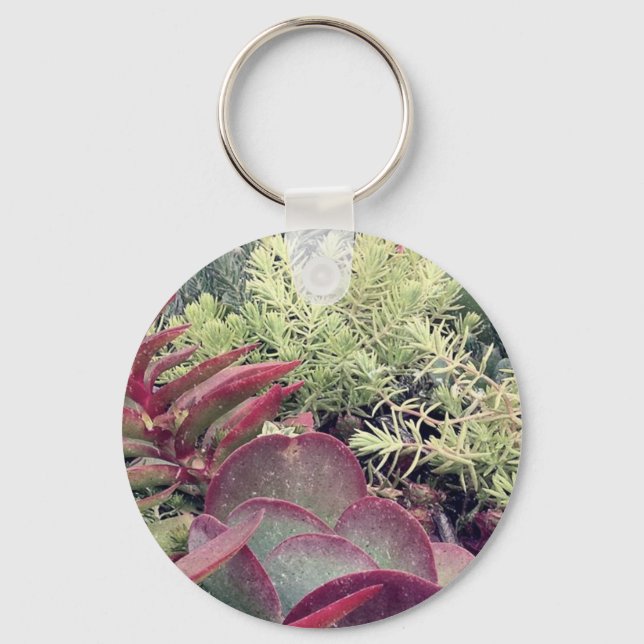 Succulent Plants Key Ring (Front)