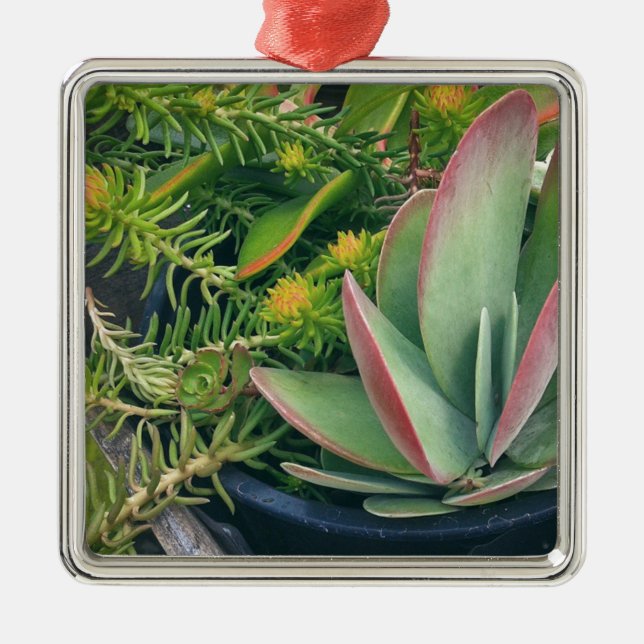 Succulent Plants Metal Tree Decoration (Front)