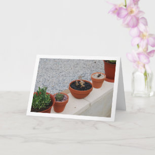Succulent Plants on Garden Wall Portrait Card