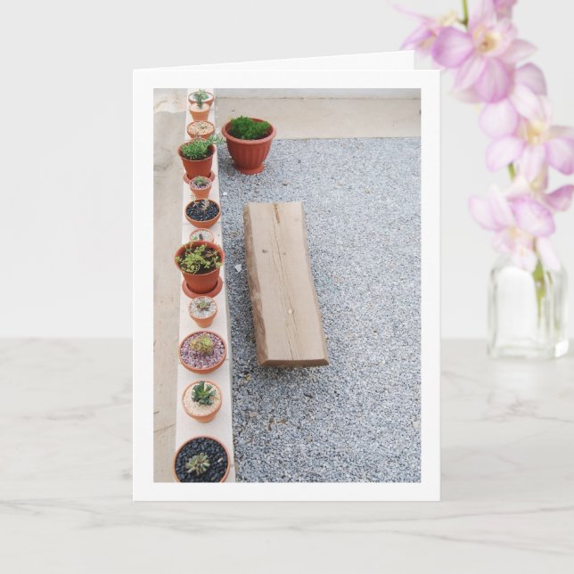 Succulent Plants on Garden Wall Portrait Card (Orchid)