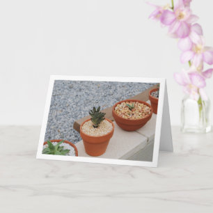 Succulent Plants on Garden Wall Portrait Card