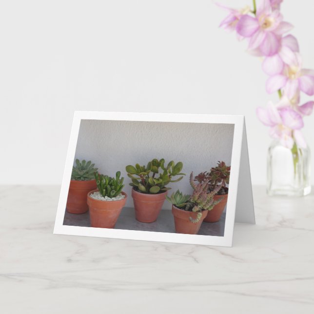 Succulent Plants Portrait Card (Orchid)