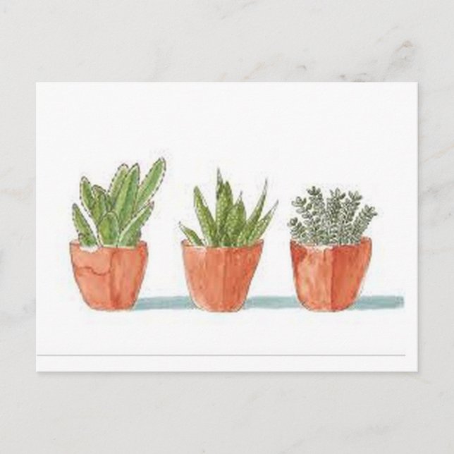 Succulent Postcard (Front)