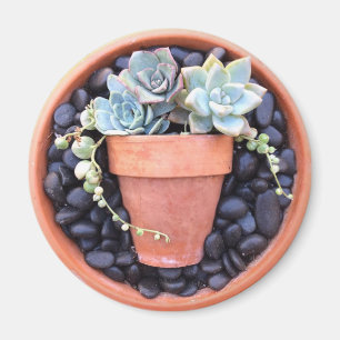 Succulent Pot In a Pot Magnet