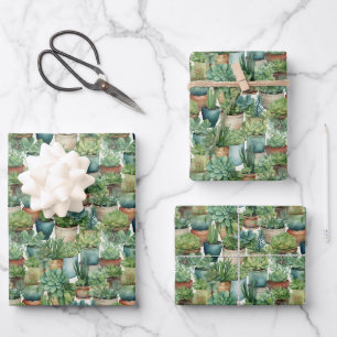 Succulent Potted Plants Wrapping Paper Sheet