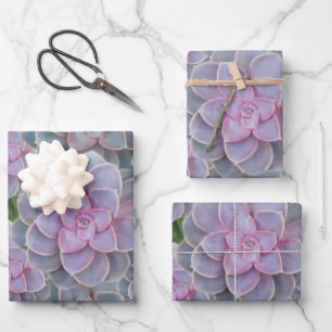 Succulent Purple Periwinkle Floral Wrapping Paper