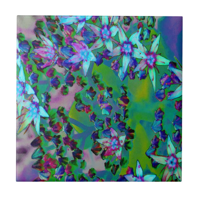 Succulent Sedum Flowers in Aqua, Purple and Blue Tile (Front)