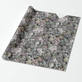 Succulent Sempervivums - Large and Muted Wrapping Paper