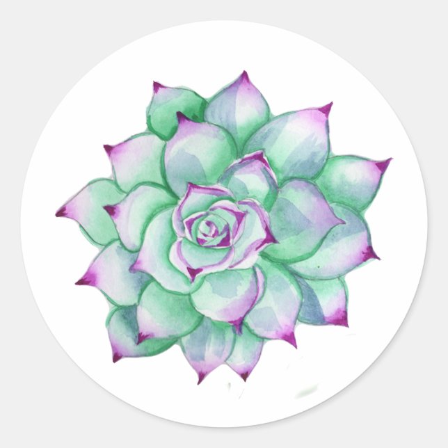 Succulent Stickers (Front)