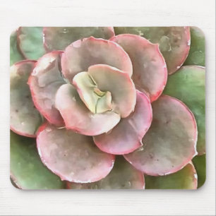 Succulent Study In Green and Coral Mouse Mat