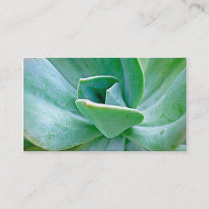 Succulent Swirl Business Card