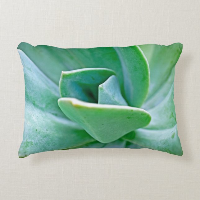 Succulent Swirl Decorative Cushion (Front)