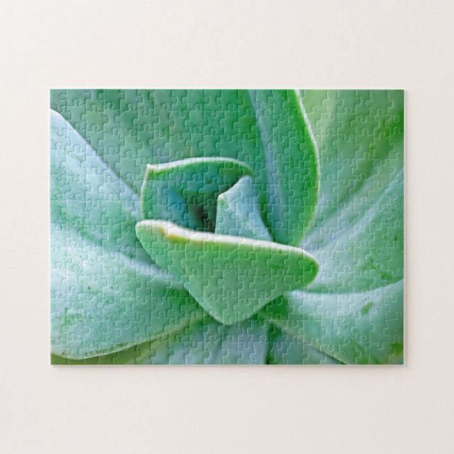 Succulent Swirl Jigsaw Puzzle (Horizontal)