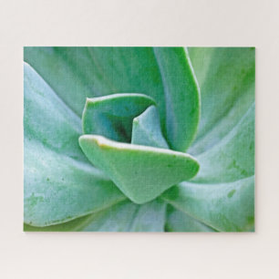 Succulent Swirl Jigsaw Puzzle