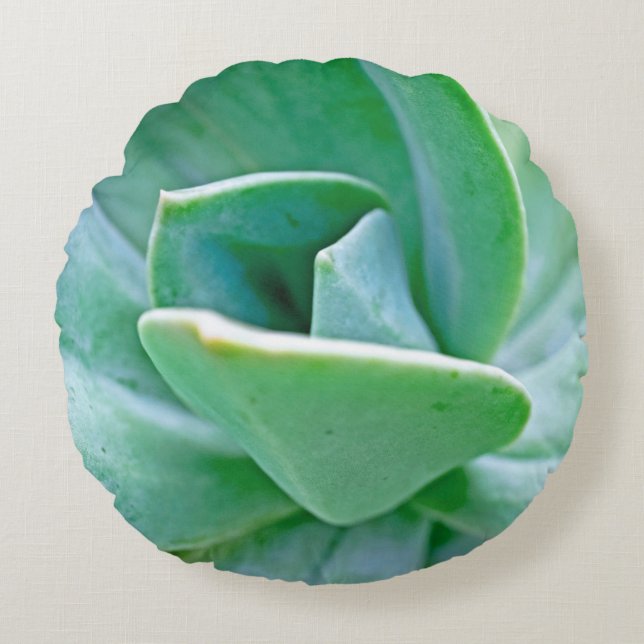 Succulent Swirl Round Cushion (Front)