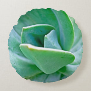 Succulent Swirl Round Cushion