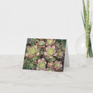 Succulent Thank You card