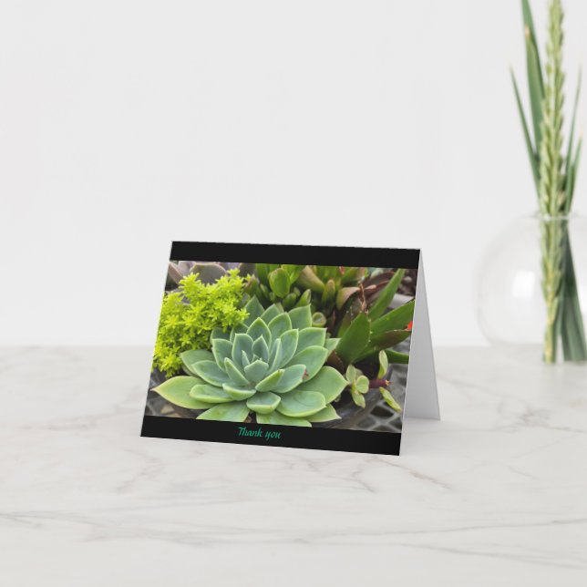 Succulent  thank you card (Front)