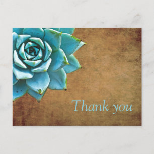 Succulent Thank You Watercolor Rustic Brown Postcard