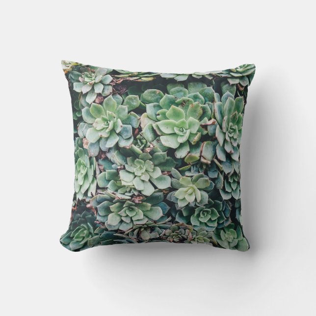 Succulent | Throw Pillow (Front)