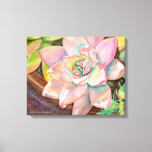 Succulent Watercolor by Debra Lee Baldwin Canvas Print