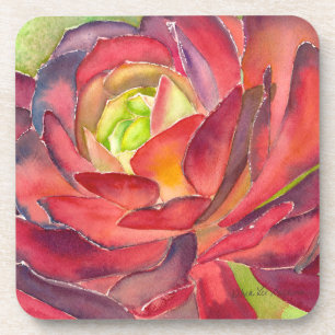 Succulent watercolor coaster by DLB