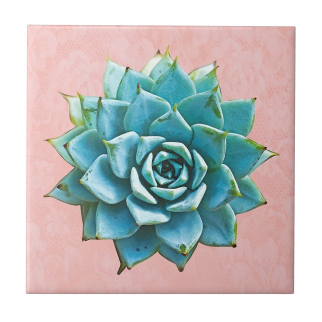 Succulent Watercolor on Blush Pink Lace Tile (Front)